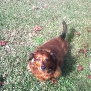 Meet your Posher, Diane